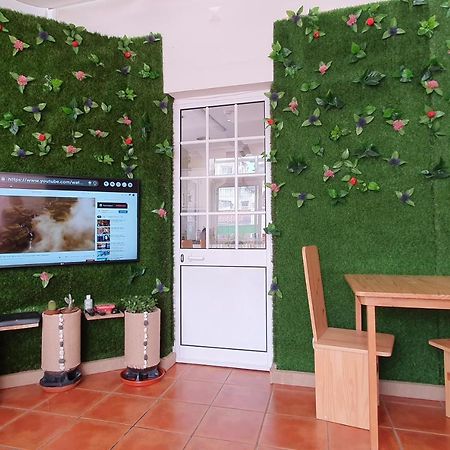 Bruma Hostel Ponta Delgada Eksteriør billede